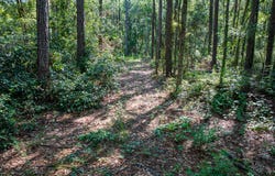 12.05 Acress Roundtree, Quitman, GA 31643