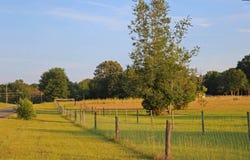TBD Poinsettia Road, Wagener, SC 29164