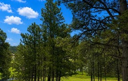Washington Loop, Sturgis, SD 57785
