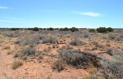 Lot 020b E 24th N Street, Snowflake, AZ 85937