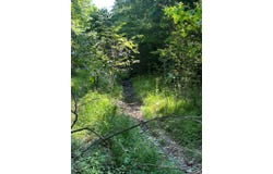 5313 W KY 70, Liberty, KY 42539