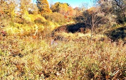 622 Stream Road, Winterport, ME 04496