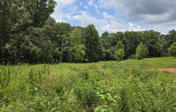 260 Wells Rd, Powell, TN 37849