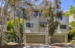 64 Eucalyptus Knoll Street, Mill Valley, CA 94941