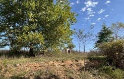 0 Date Drive, Summersville, MO 65571