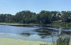 159 +/- Acres, Holt County, Lynch, NE 68746