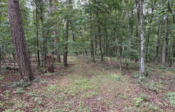 9.31 AC PINE TREE DRIVE, BLOOMERY, WV 26817