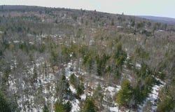 TBD Trafton Road, Parkman, ME 04443