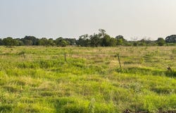 ELM BRANCH lot: 9, Elm Mott, TX 76640
