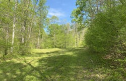326 KY 1092, Sitka, KY 41255