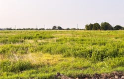 ELM BRANCH lot: 21, Elm Mott, TX 76640