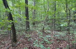0 Carnes Chapel Rd., Attalla, AL 35954