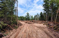 128 Wintergreen, Marquette, MI 49855