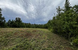 Cline Road lot: 3, Wesson, MS 39191