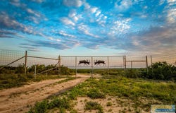 5172 County Rd., TX 78384