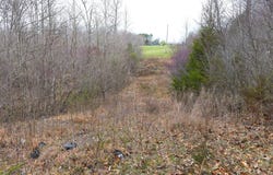 9295 Fairplay Rd, Cundiff, KY 42728