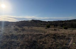 2220 Canyon Wren Loop, Graford, TX 76449