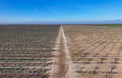 8000 Road 208, Terra Bella, CA 93270