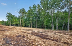 004 Cantrell Road, Mansfield, MO 65704