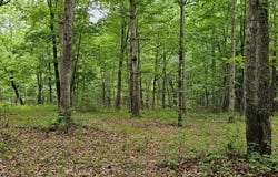 0 2 Lake Trl, Dunlap, TN 37327