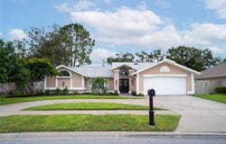 1583 MCAULIFFE LANE, PALM HARBOR, FL 34683