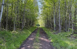 TBD Off Hwy M-64, Ontonagon, MI 49953