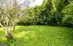 204 Oakwood, Rome, GA 30165