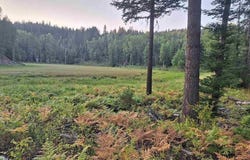 354 Swamp Donkey Trail, Sandpoint, ID 83864