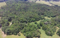 Mount Vernon Church Road, Iva, SC 29655