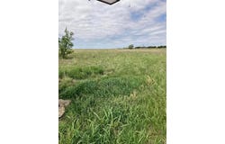 3601 W 24th Street, Plainview, TX 79072
