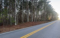 0 Clem Lowell, Carrollton, GA 30116