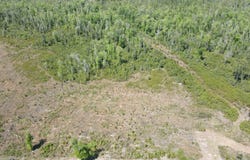 TBD NW John F. Bailey Rd., Blountstown, FL 32424