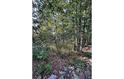 Lot F534 Pinoak Drive, Jim Thorpe, PA 18229