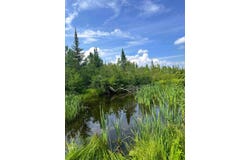 11786 Monarch Meadow, Grayling, MI 49738