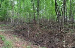 42.16 ACS GREEN RIVER COVE Road unit: 42.162 Ac., Saluda, NC 28726