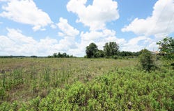 Jack Stokes Road, Baker, FL 32531
