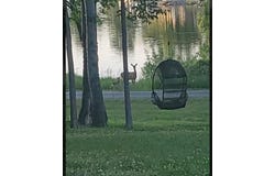 5165 Islanders, Gladwin, MI 48624-8505