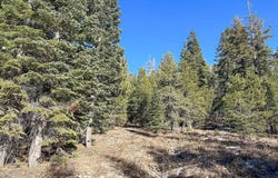 5n01 Eagle Meadow rd, Strawberry, CA 95375