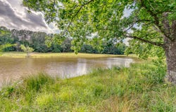 3382 Attala Rd 2247, Kosciusko, MS 39090
