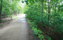 6625 Cape Haven Drive, Harrison, TN 37341