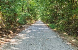 13608 WC 156 Sugar Mountain Road, West Fork, AR 72774