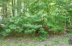 0 Givens Tyler RD, Salem, VA 24153