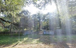 3519 Bohicket Road, Johns Island, SC 29455