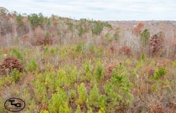 0 Deer Highlands Dr, Jasper, AL 35503