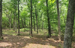 13795 Klondike Road, De Soto, MO 63020