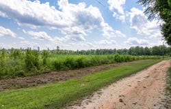 7.1 MOL AC I-45, Shubuta, MS 39360