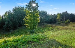 1384 N 122nd Avenue, Hart, MI 49420