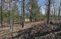 Lot 2 Deer Meadows Lane, Yellville, AR 72687