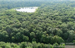 V/L 40 Ac S Brown Road, Sheridan, MI 48884