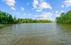 Black Bluff Rd SW, Cave Spring, GA 30124